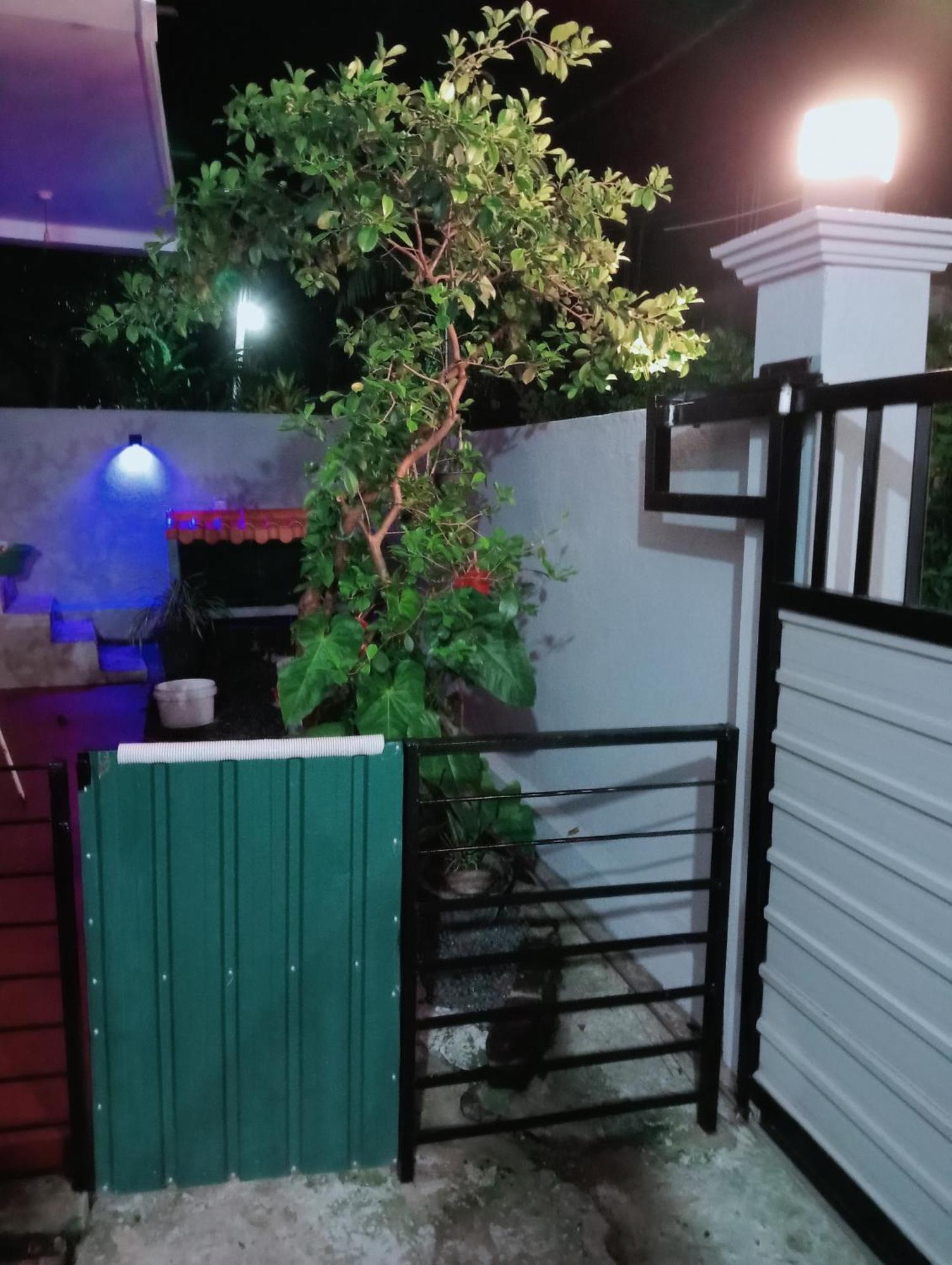 Great Yeheni Villa 希克杜沃 外观 照片